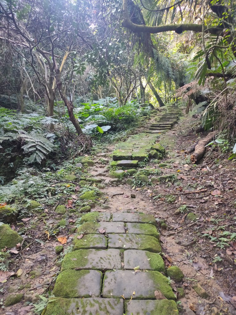 大暖尖山承暖步道封面圖