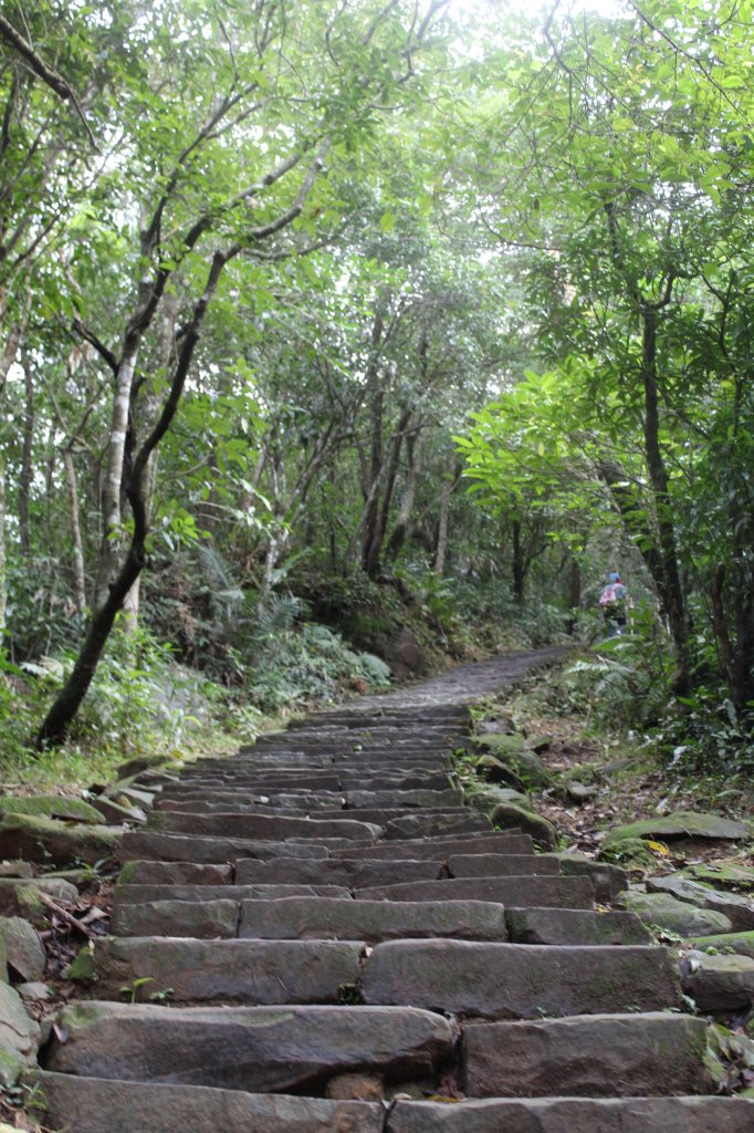 草嶺古道 _754372