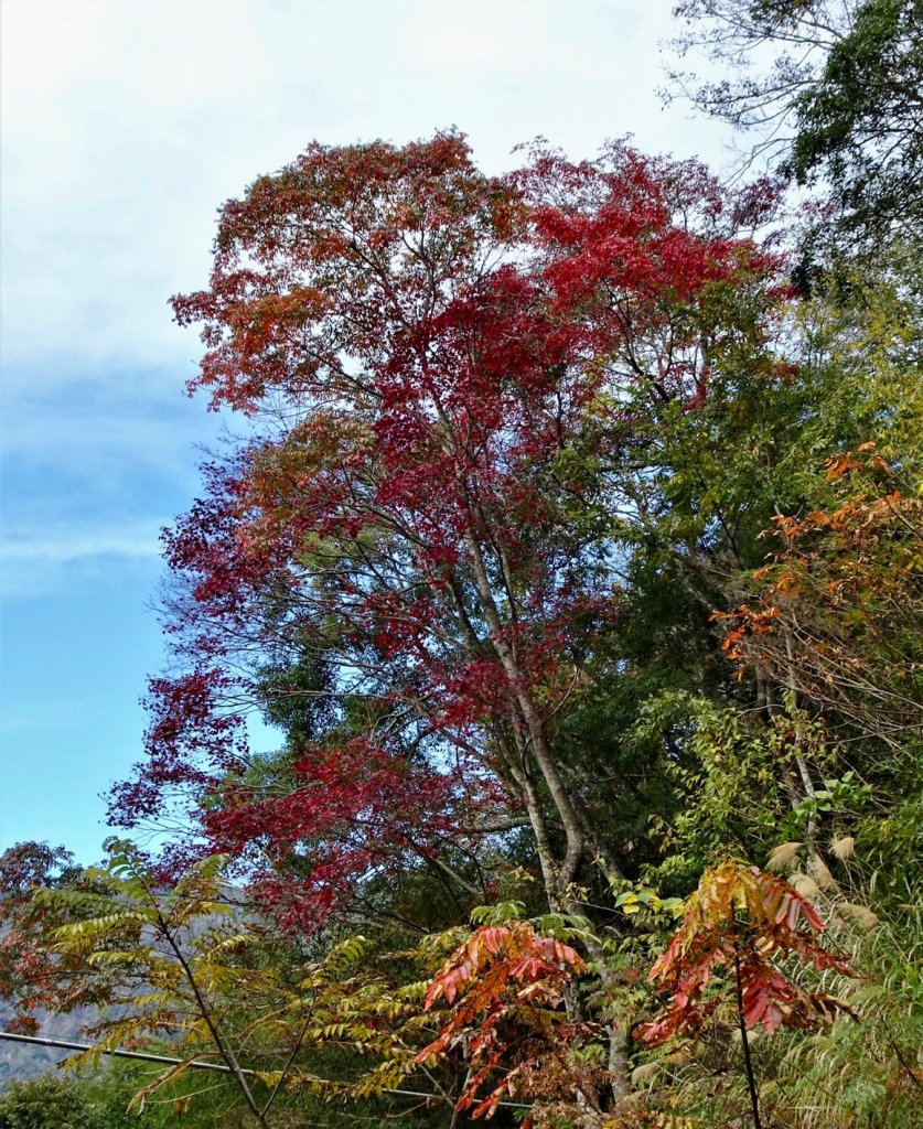 霞喀羅古道_1574801