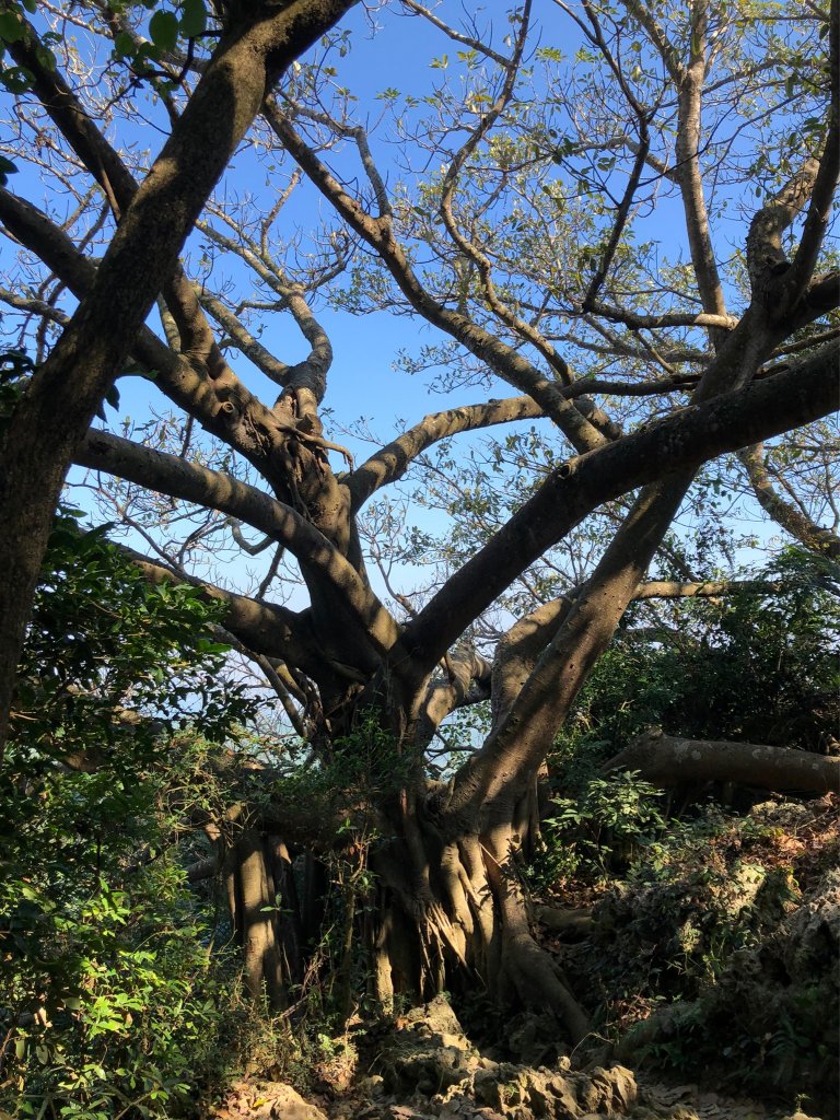 2021.11.14柴山_1517142