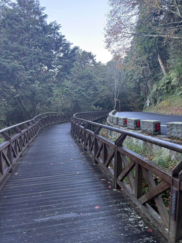 20251225塔山步道(大塔山)_2970229