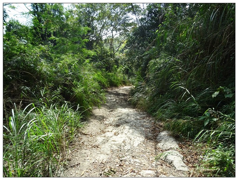竹子尖山(小百岳)稜線步道O形一圈_2355500