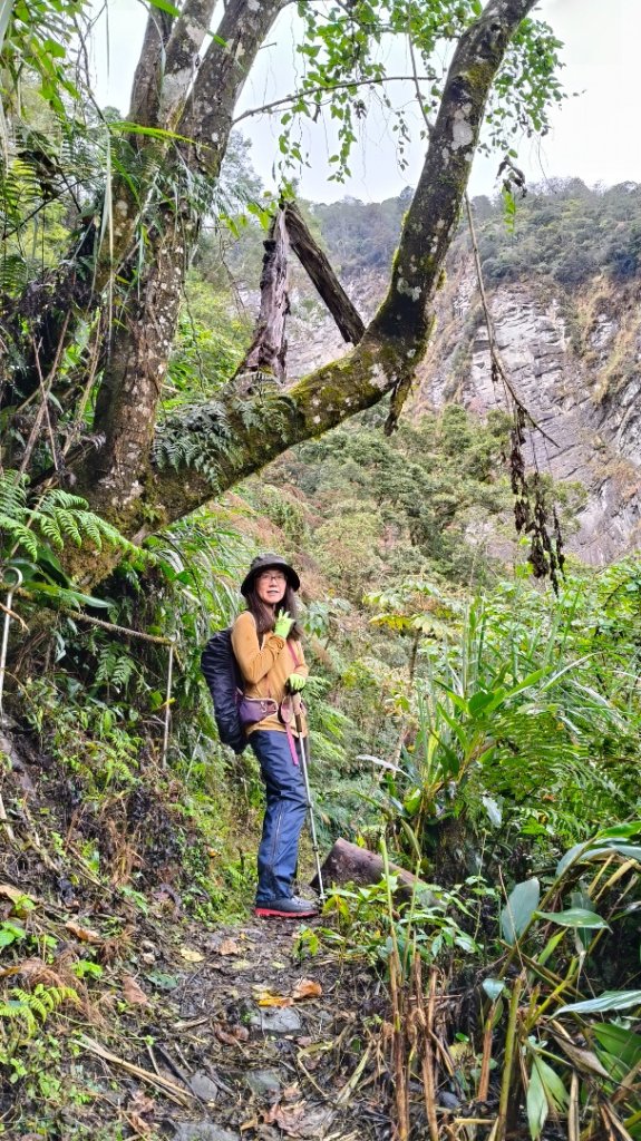 神阿縱走~台灣難抵極~大塔山_2971404
