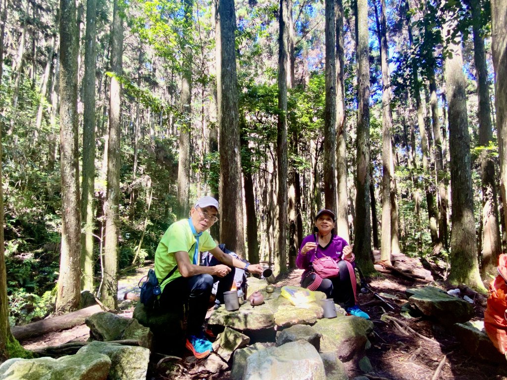 橫嶺山步道泡茶趣    2024/7/4封面圖