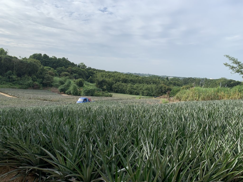 20251024台南大坪山封面圖