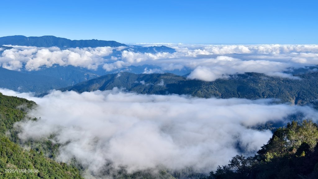 #太平山 #望洋山 #觀雲步道 #日出 #雲海 11/8_2931198