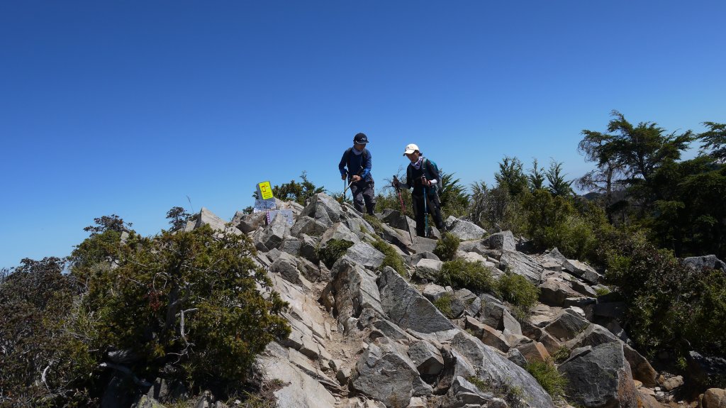 池有山單攻登山健行趣(百岳52)_1515373