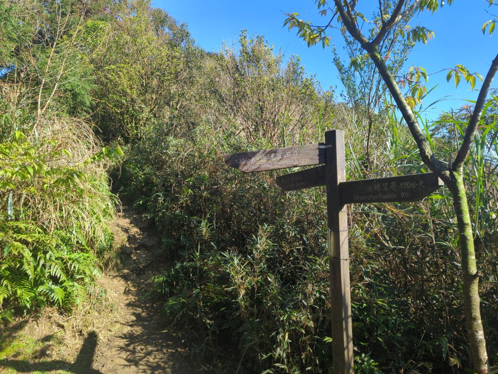 2025.02.15－五分山_2713843