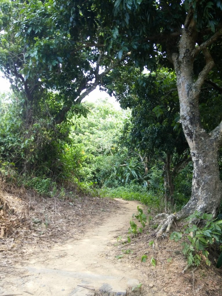 咬人狗坑狗很多_686927