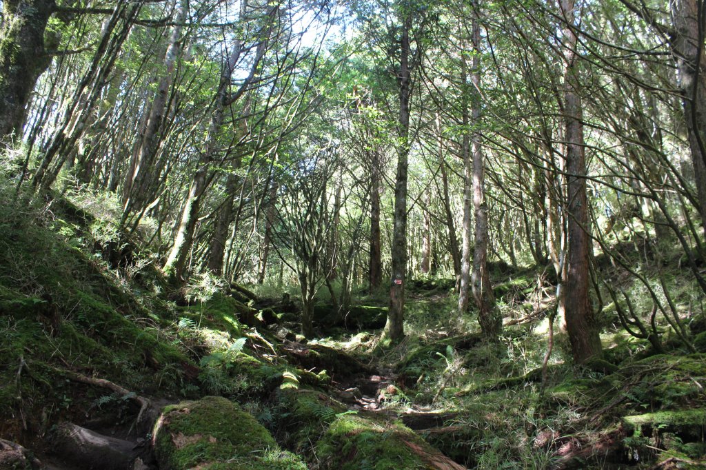 20220620高雄塔關山_1743012