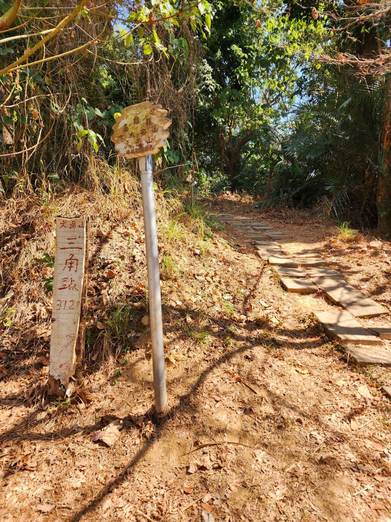 小百岳集起來-大崗山封面圖