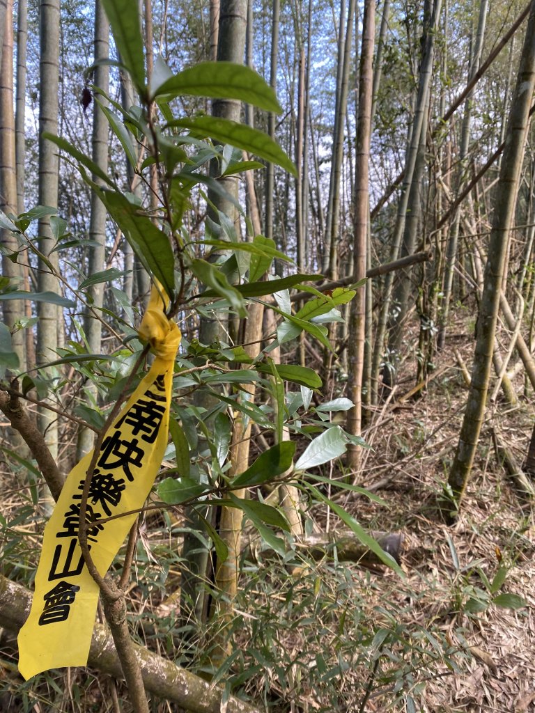 1140112出水坑篤鼻山步道_2690805