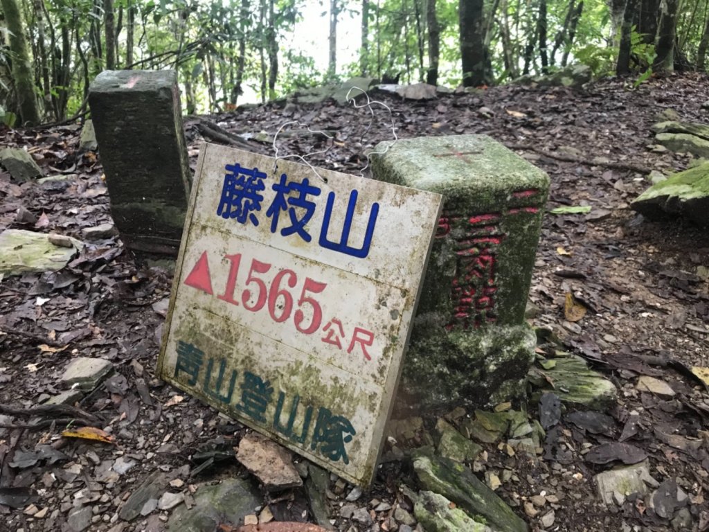 烏山步道封面圖