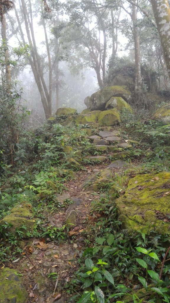 大山背山_92621