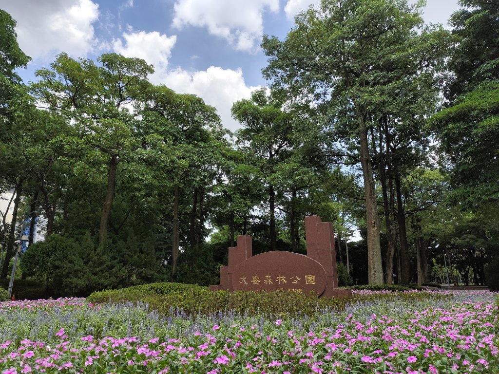 大安森林公園、港墘公園、文德三號公園【走路趣尋寶】【臺北健走趣】封面圖