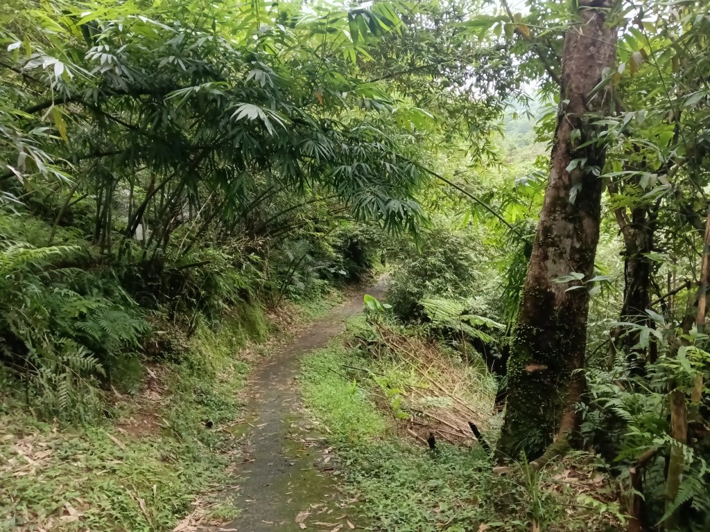 平溪區善覺寺古道(步道)去回_2855434