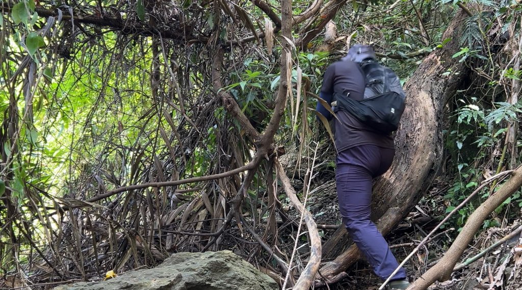 九份二山_2597565