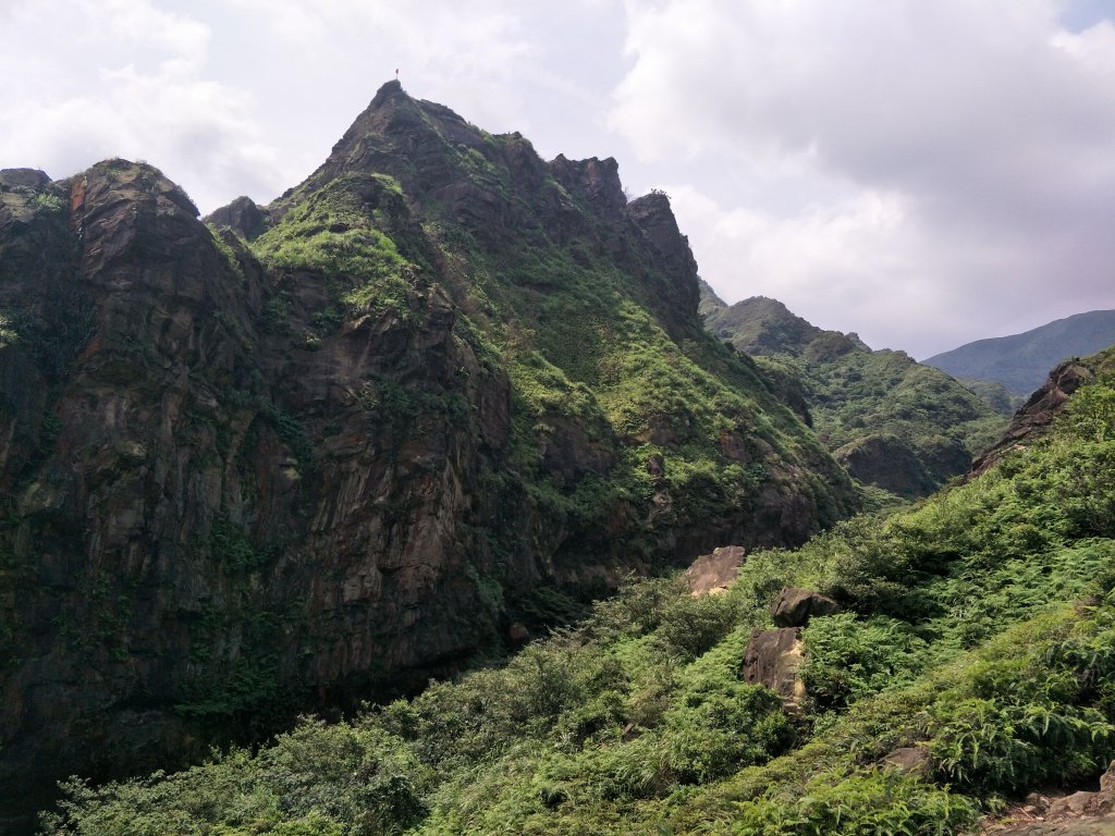 20190526劍龍、鋸齒、無耳茶壺山_593244