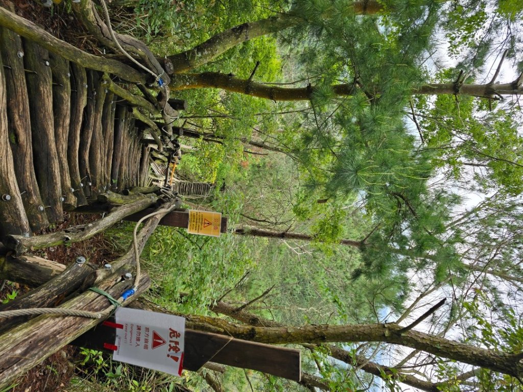 台中大坑4號登山步道_2751097