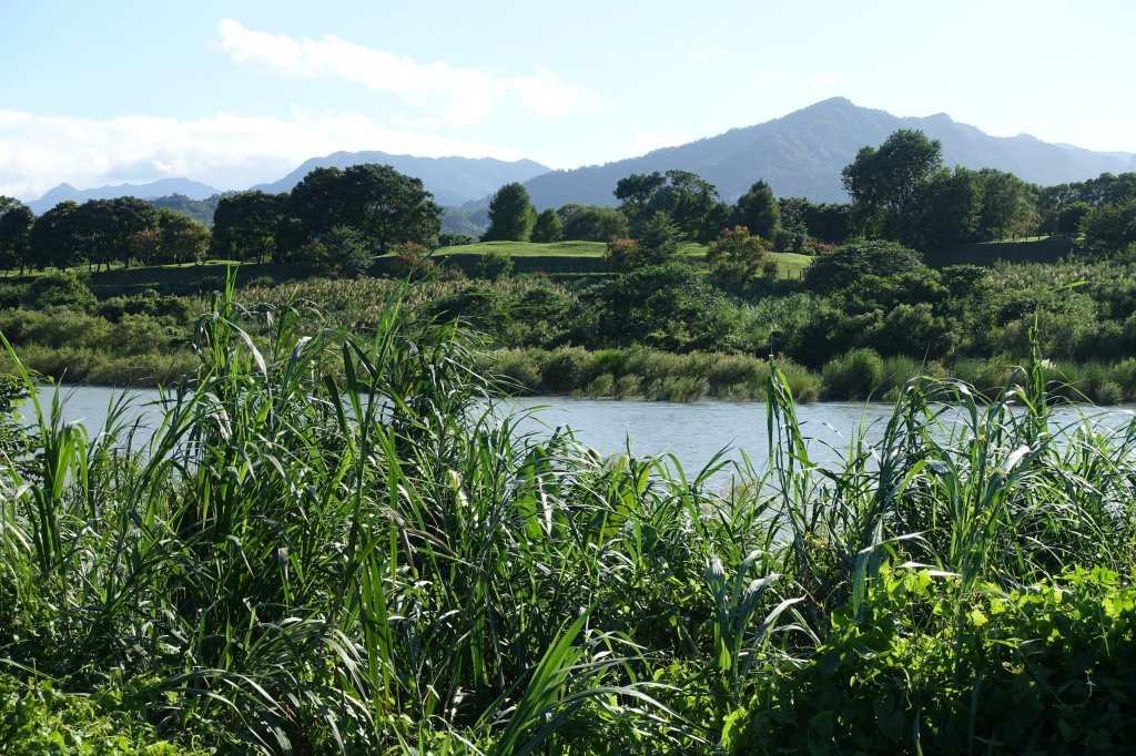 秀朗清溪河濱公園．小碧潭河濱公園_1143151