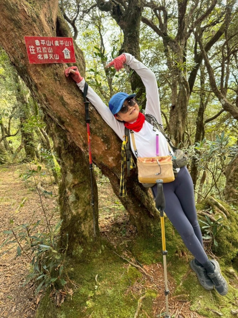 20260118南插天山.魯培山.上宇內山(南插北峰)_2989883