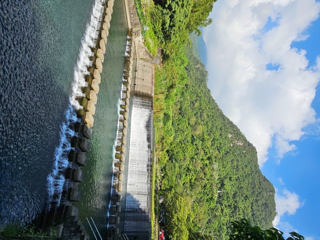 抹茶山封面圖