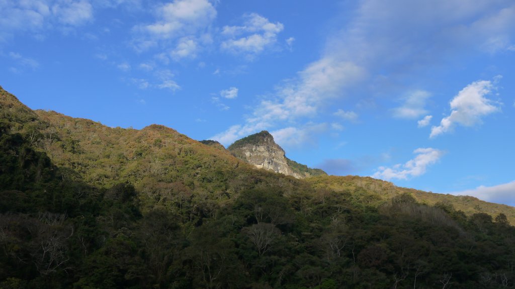 虎山登山健行趣(中級山)_1517005
