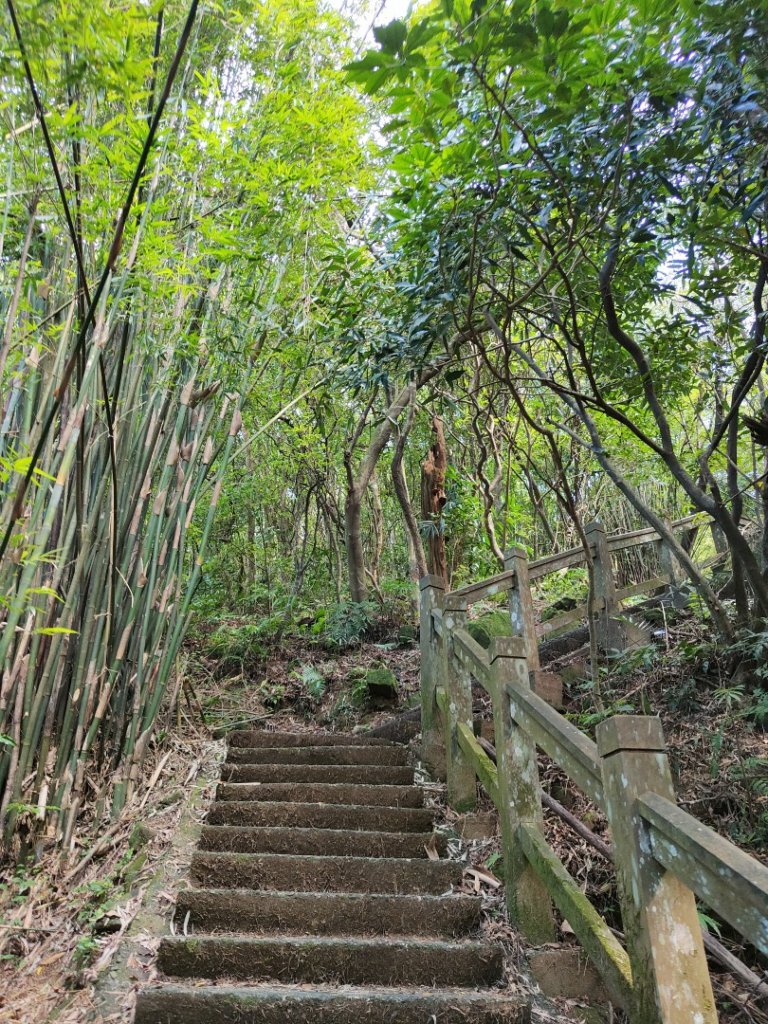 2023.11.23 桃源谷內寮線登灣坑頭山_2503569