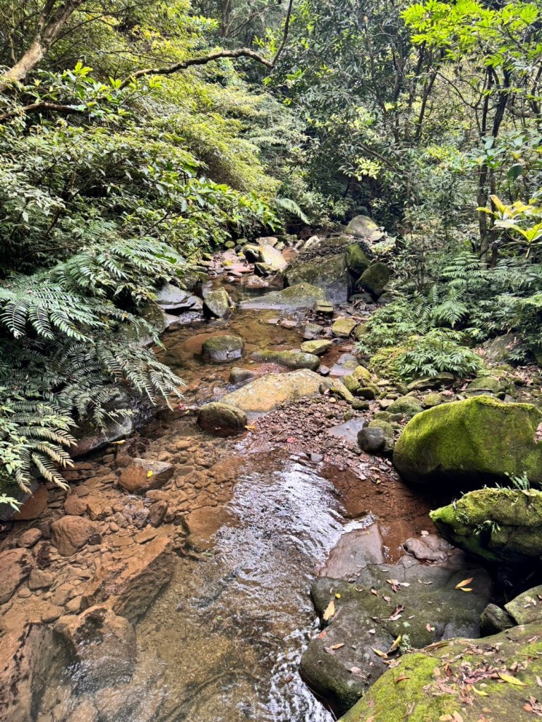 【基隆】暖東峽谷步道_2526937