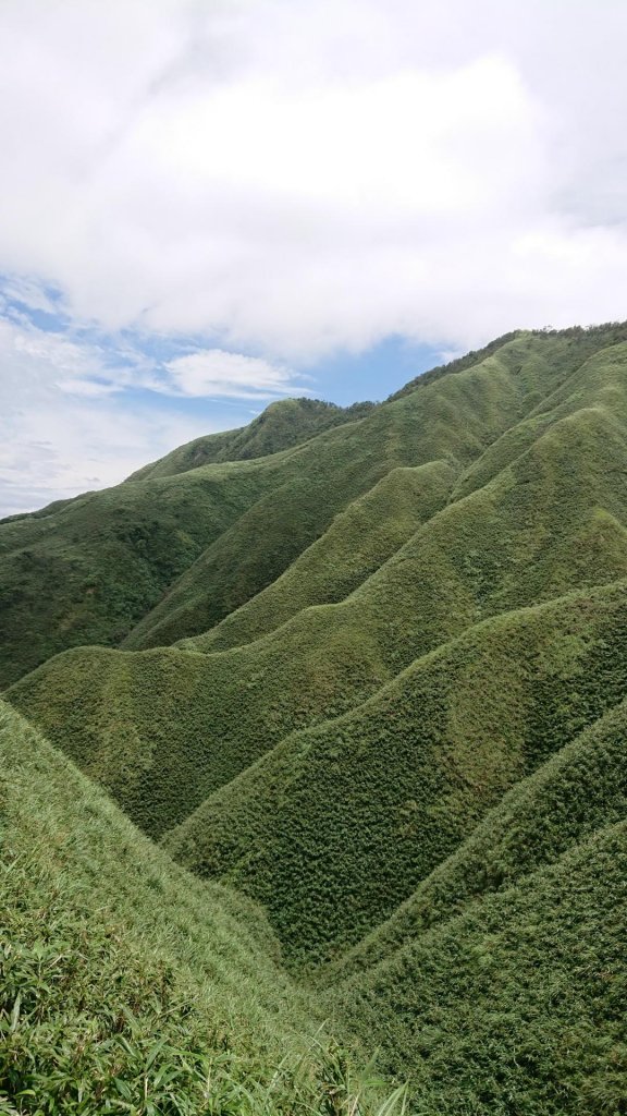 絕美抹茶山“聖母登山步道” _629002