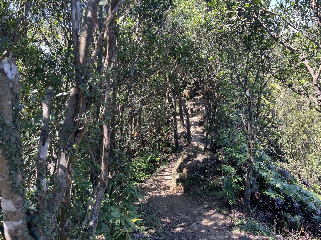 [微笑山線_第九段] 2025_0914 二格山系_天王峰_2889548