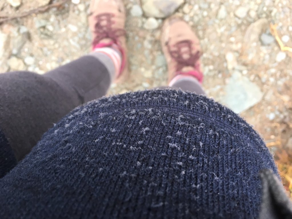 邊緣系山友:四季連放嘉明湖_550255