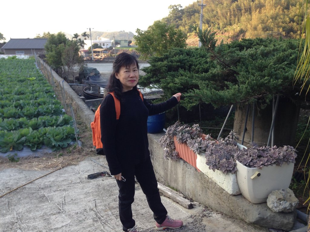 四訪苗栗的花果山-小百岳#037馬那邦山、雪霸國家公園管理處【小百岳集起來、苗栗-臺灣百大必訪步道】_2394288