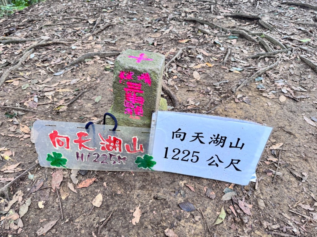 光天高山 - 向天湖山(小百岳32) 小O一圈封面圖