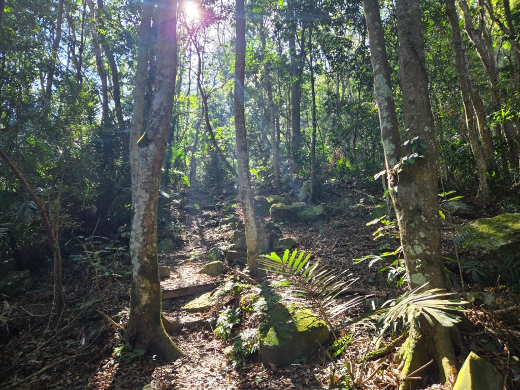 水雲三星～上島山（鳥嘴山）_2931235