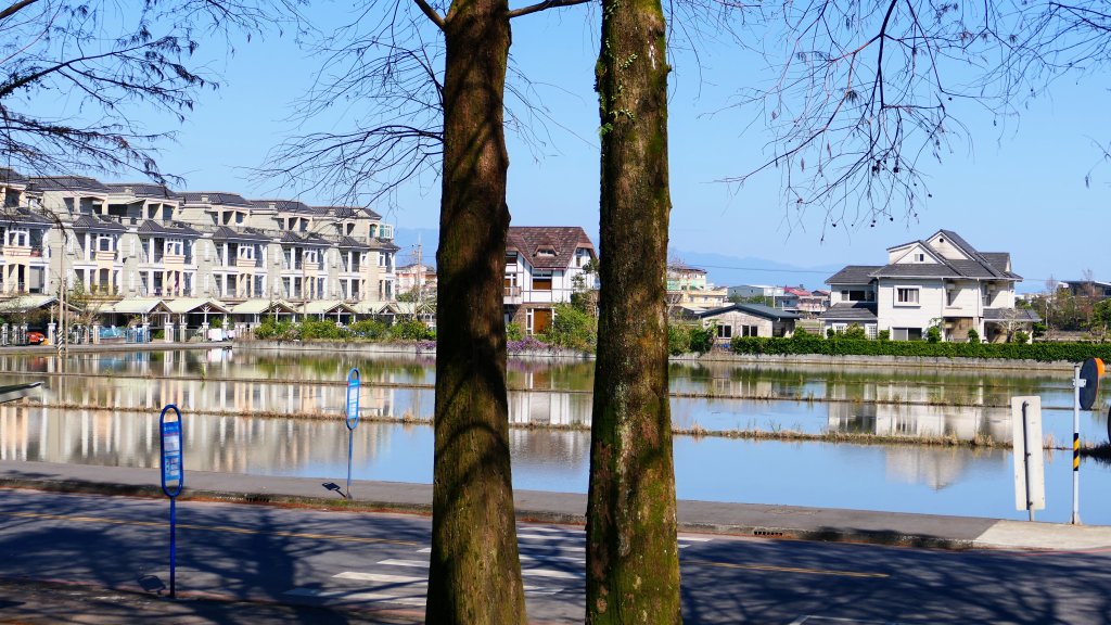 羅東運動公園_2690182