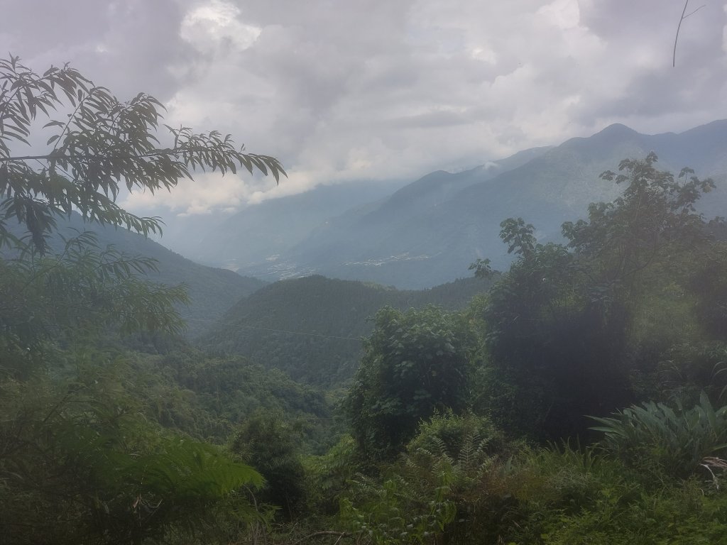 神阿縱走2022/7/31_1786235