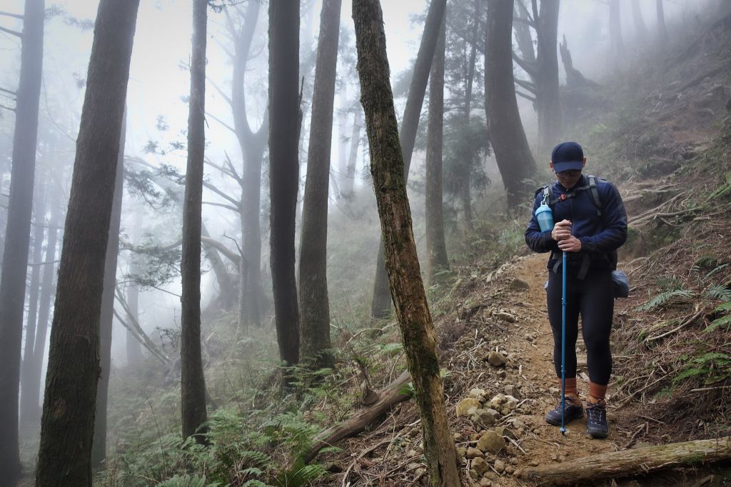 水漾森林。鹿屈山O型2018.04.04_307387