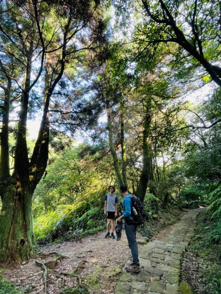 1091026魚路古道/上磺溪-冷水坑_2209188