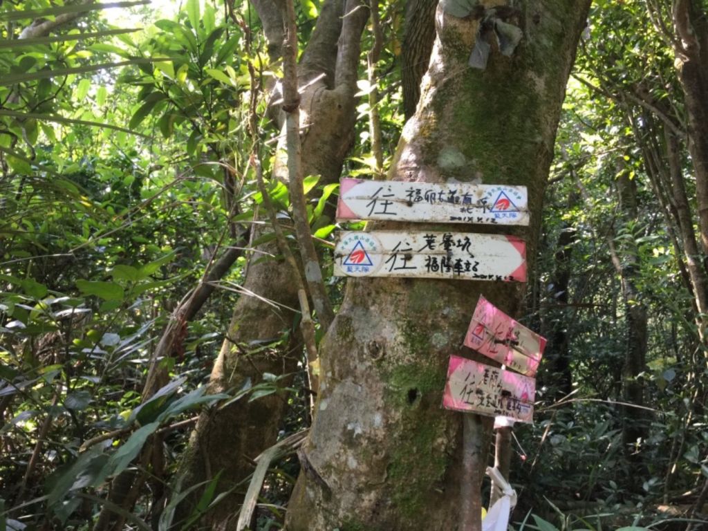 東北角嶐嶐山_374975