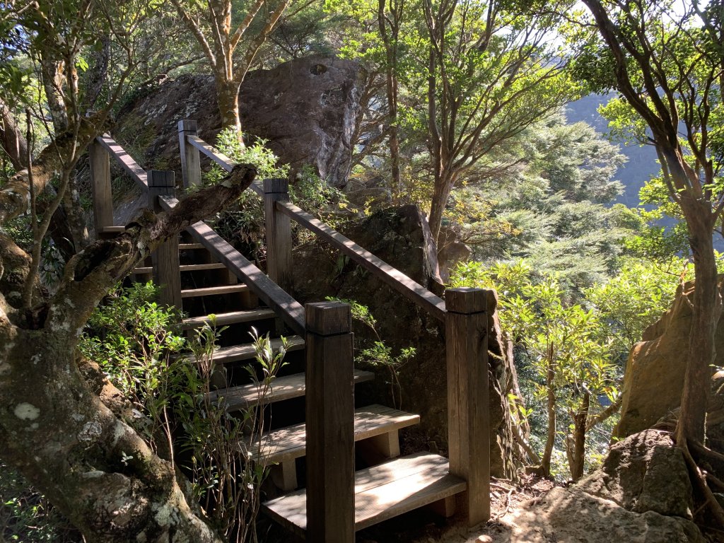 【中級山】北得拉曼、內鳥嘴山、金黃山毛櫸_1170842