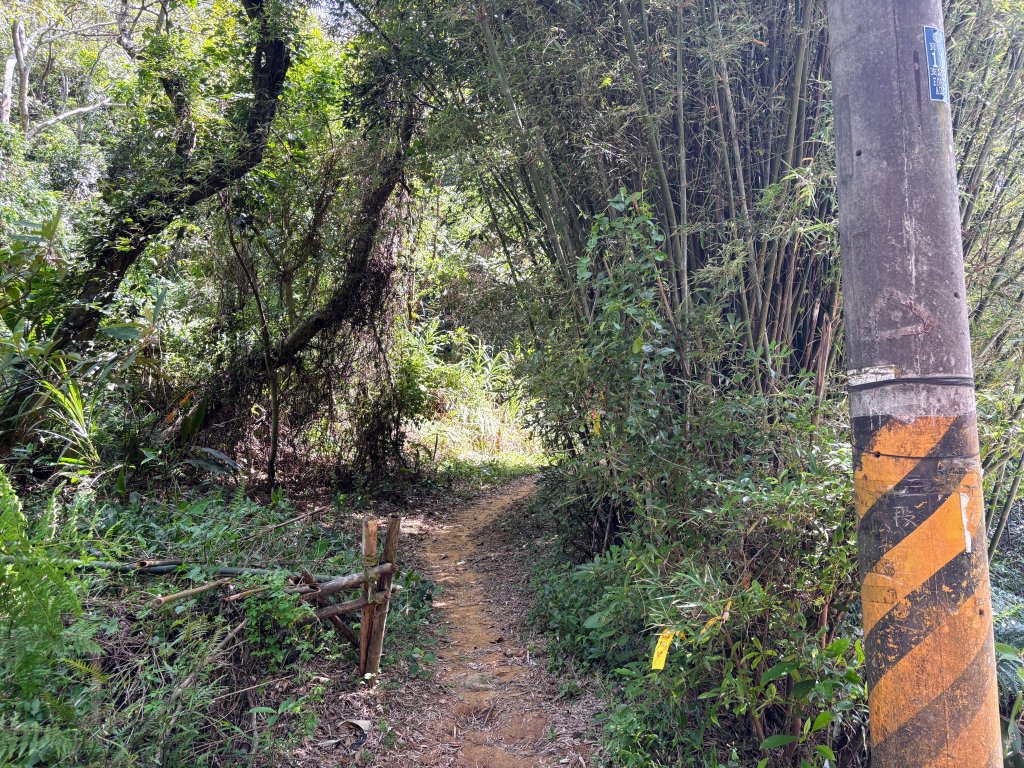 三段崎古道封面圖