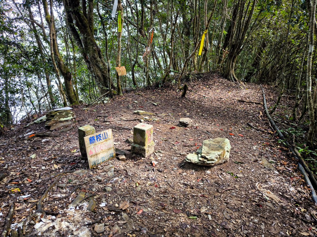 2026-02-08 藤枝山封面圖