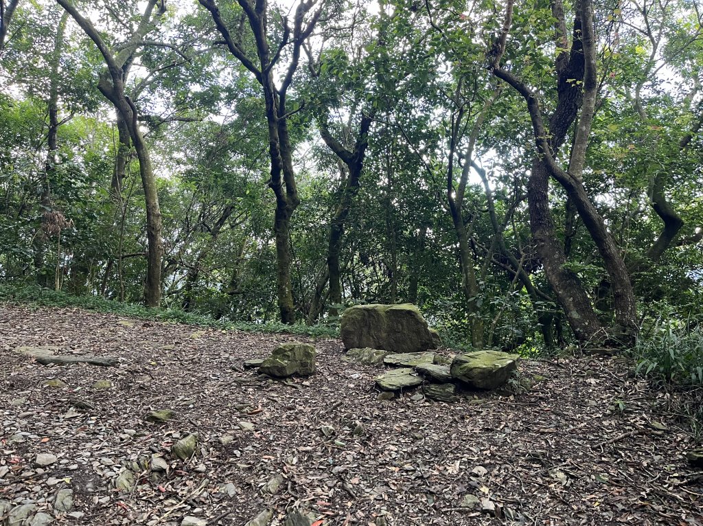 [屏步青雲 尋寶任務-01/10] 2024_0914 德文山步道(觀望山)_2596940