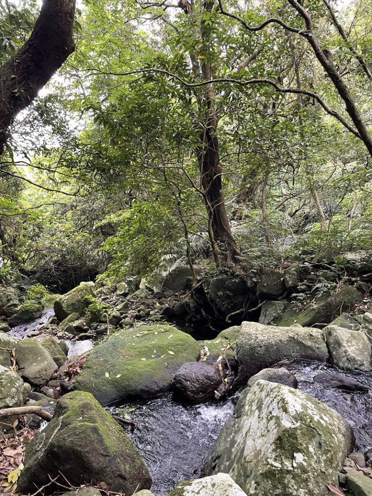 小觀音山西峰_2488976