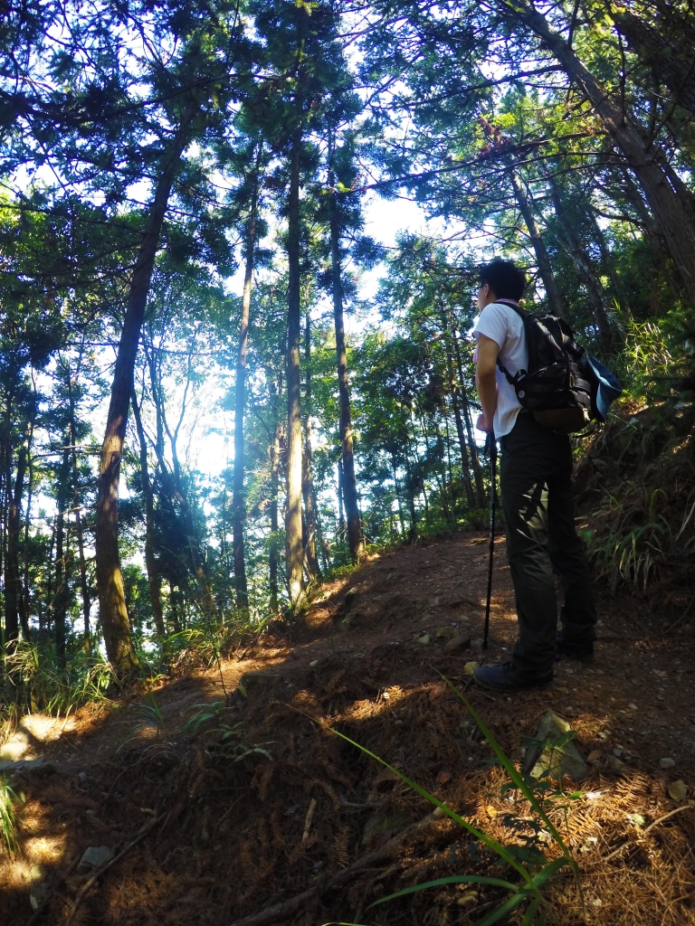 谷關七雄 馬崙山_54955