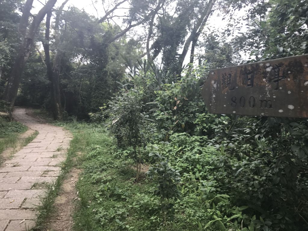 飛鳳山 觀日亭 石壁潭山 環狀路線_147169