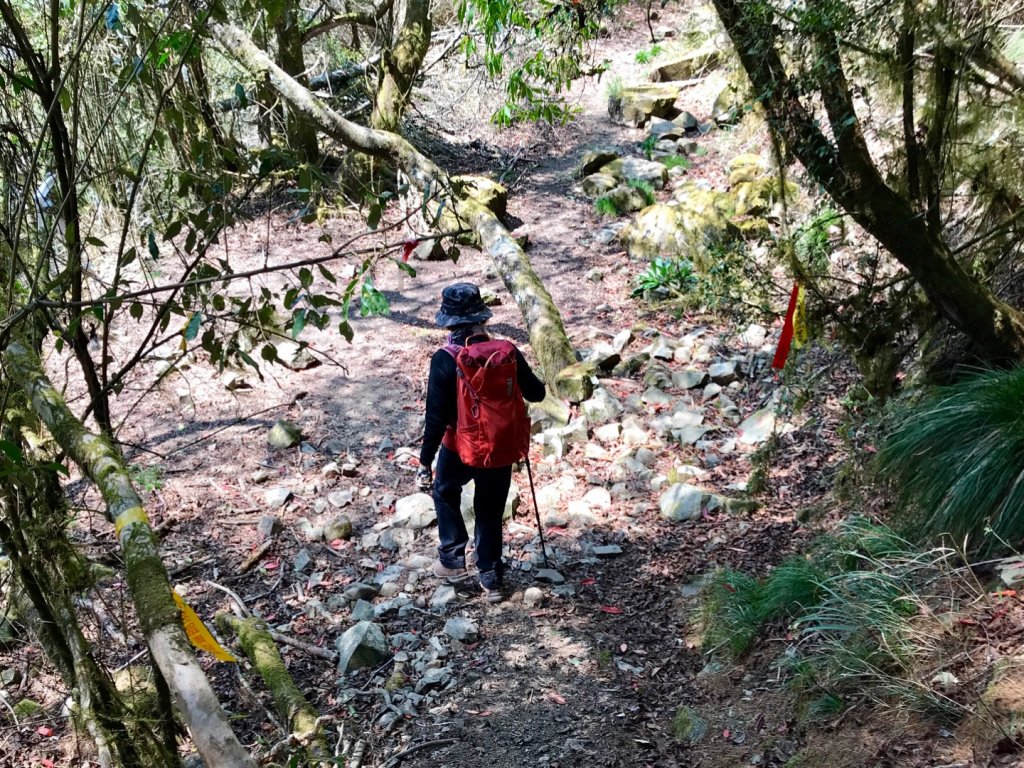 石山 石山引水道_551406