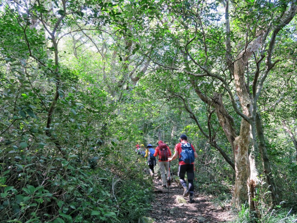 里龍山 悠遊山徑-溪谷-欣賞海天一色美景_1486148