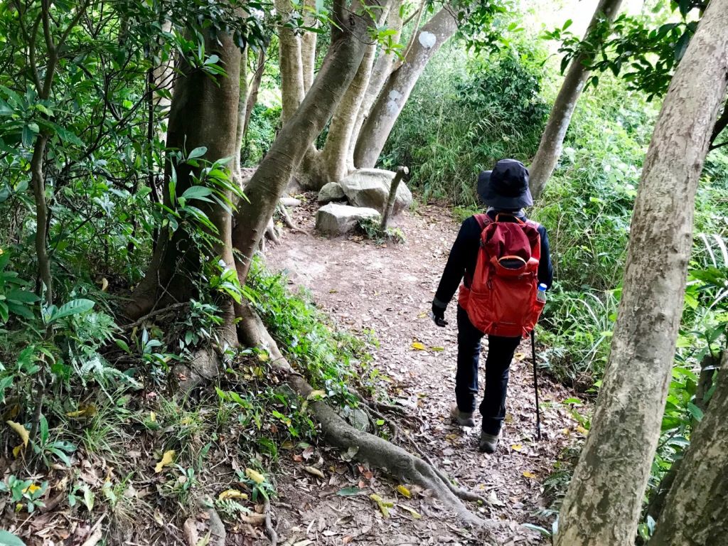 觀音山硬漢嶺環走占山鷹仔尖_350912